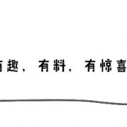 《甜蜜心动预警》-“女管家”爆笑征服总裁机长