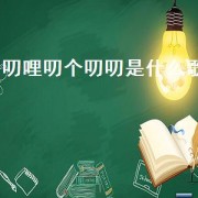叨哩叨个叨叨是什么歌