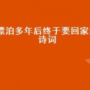 漂泊多年后终于要回家的诗词