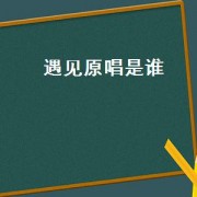 遇见原唱是谁