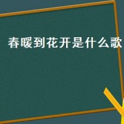 春暖到花开是什么歌