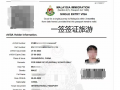 马来西亚电子签证办理加急（怎么办理）