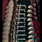 爱情公寓的插曲《爱的回归线》表达的是什么？写的是什么？想听一下对这首歌曲的赏析(๑•.•๑)？