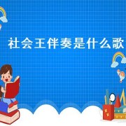 社会王伴奏是什么歌（社会王伴奏的歌叫什么名字）