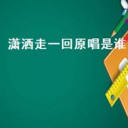 潇洒走一回原唱是谁