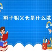 辫子粗又长是什么歌