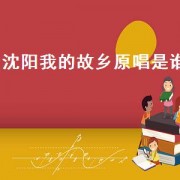 沈阳我的故乡原唱是谁（沈阳我的故乡原唱完整版）