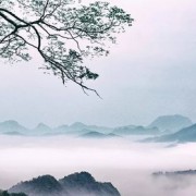 贵妃抚琴诗词（贵妃抚琴谱字幕）