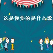 这是你要的是什么歌