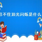 忍不住泪光闪烁是什么歌