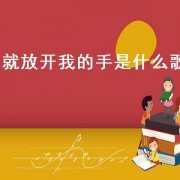 就放开我的手是什么歌