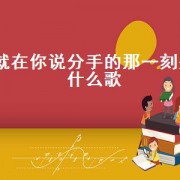 就在你说分手的那一刻是什么歌
