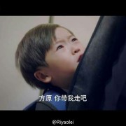 老公喜欢看的电视剧是《红色》、《北平无战事》之类的，最近居然迷上了《我爱男保姆》，想知道好看在哪里？