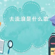 去流浪是什么歌（让孤单去流浪是什么歌的歌词）