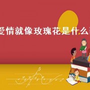 爱情就像玫瑰花是什么歌（爱情像花朵是什么歌）
