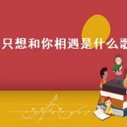 只想和你相遇是什么歌（歌词与你相遇是什么歌）