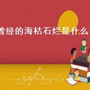 曾经的海枯石烂是什么歌（歌词里有海枯石烂是什么歌）