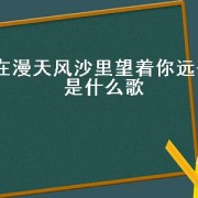 在漫天风沙里望着你远去是什么歌
