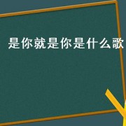 是你就是你是什么歌（是你是你 歌词）