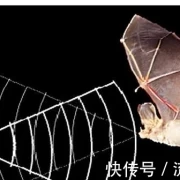 湖南惊现顺风耳！千里之外说话一听便知，医生多次测试难以置信