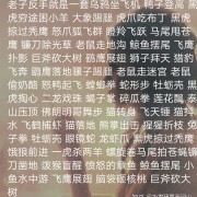 歌曲《生僻字》看中华文化