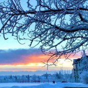 纪晓岚的诗词有哪些（纪晓岚诗词名句有哪些）