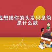 我想摸你的头发只是简单是什么歌（摸摸你的腿啊是什么歌）