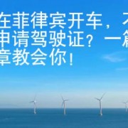 想在菲律宾开车，不懂申请驾驶证？一篇文章教会你！