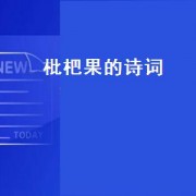 枇杷果的诗词