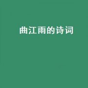 曲江雨的诗词