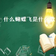 什么蝴蝶飞是什么歌（蝴蝶飞的歌）