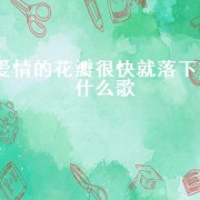 爱情的花瓣很快就落下是什么歌（爱情慢慢的枯萎是什么歌）