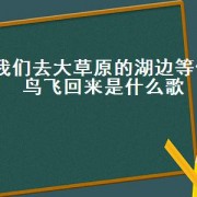 我们去大草原的湖边等候鸟飞回来是什么歌（我们去大草原的湖边这首歌叫什么）