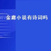金庸小说有诗词吗（金庸小说有诗词吗）