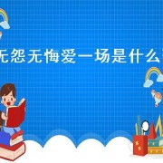 无怨无悔爱一场是什么歌