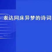 表达同床异梦的诗词（同床异梦的诗句）