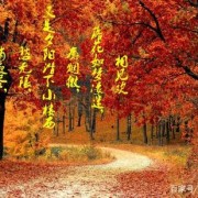 高考古诗词大全（高考古诗词大全集）