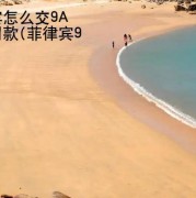 在菲律宾怎么交9A签证的罚款(菲律宾9A罚款)