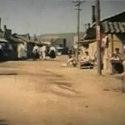 电影《卖花姑娘》的亮点是什么？