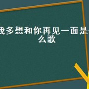 我多想和你再见一面是什么歌（我多想再见一面什么歌）