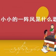 小小的一阵风是什么歌
