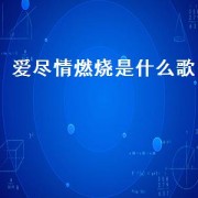 爱尽情燃烧是什么歌