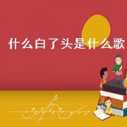 什么白了头是什么歌（白了头发是哪首歌的歌词）