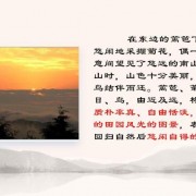 曹操的诗词（曹操的诗词对酒当歌）