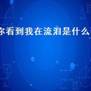 你看到我在流泪是什么歌