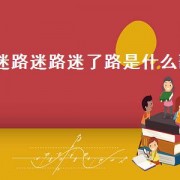 迷路迷路迷了路是什么歌