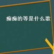 痴痴的等是什么歌
