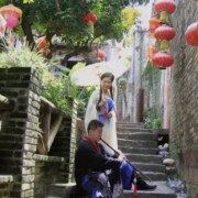 梧桐 古诗词（庭院梧桐古诗词）
