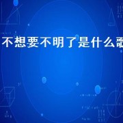不想要不明了是什么歌