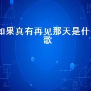 如果真有再见那天是什么歌